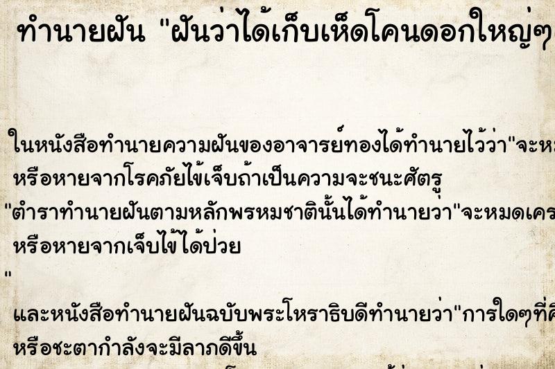 ทำนายฝันทำนายฝันฝันว่าได้เก็บเห็ดโคนดอกใหญ่ๆเยอะมาก