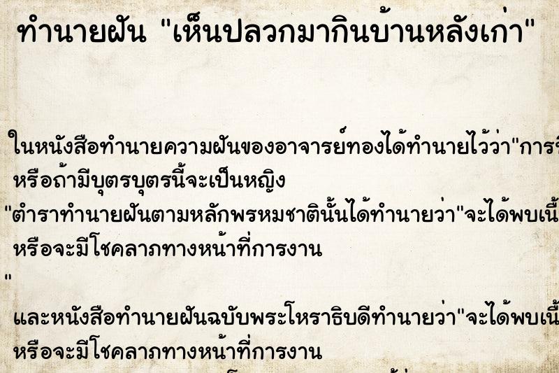 ทำนายฝัน เห็นปลวกมากินบ้านหลังเก่า ตำราโบราณ แม่นที่สุดในโลก