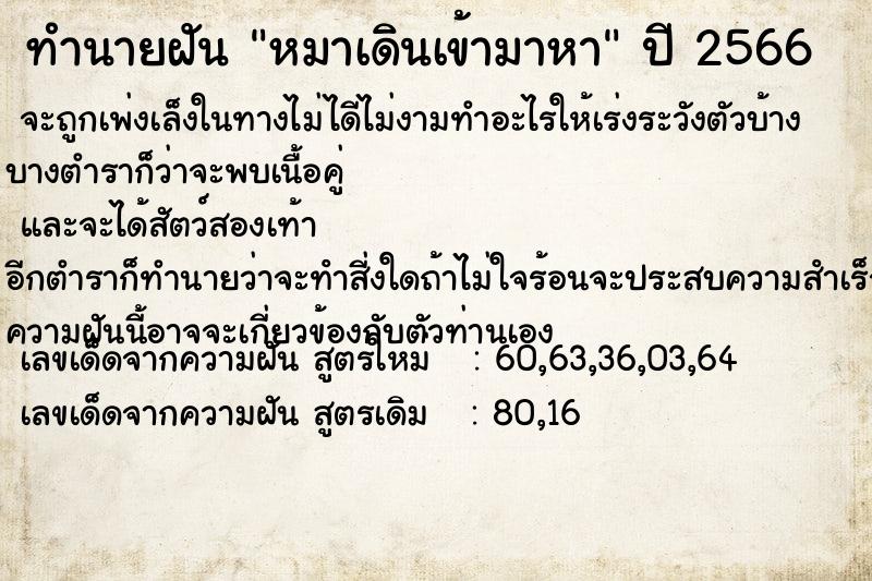 ทำนายฝัน หมาเดินเข้ามาหา