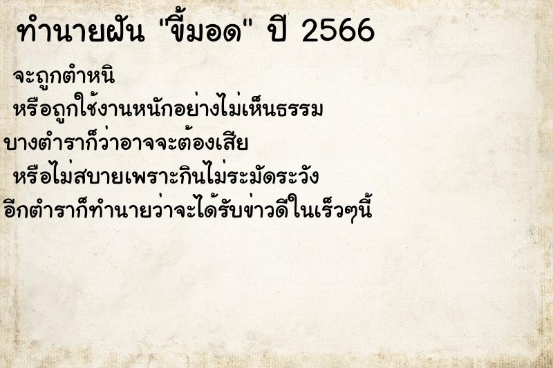 ทำนายฝันทำนายฝันขี้มอด