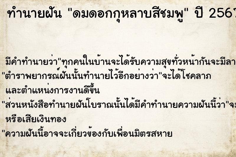 ทำนายฝันดมดอกกุหลาบสีชมพู ทำนายฝันทำนายฝันดมดอกกุหลาบสีชมพู