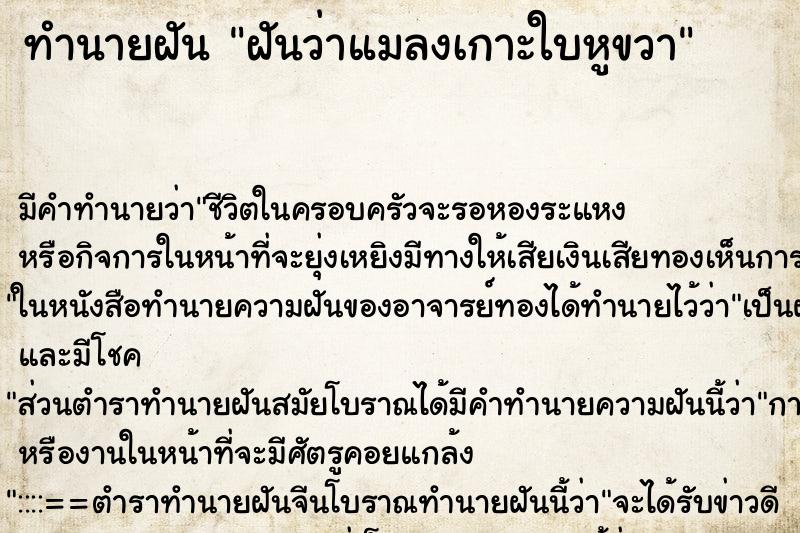 ทำนายฝันฝันว่าแมลงเกาะใบหูขวา ทำนายฝันทำนายฝันฝันว่าแมลงเกาะใบหูขวา