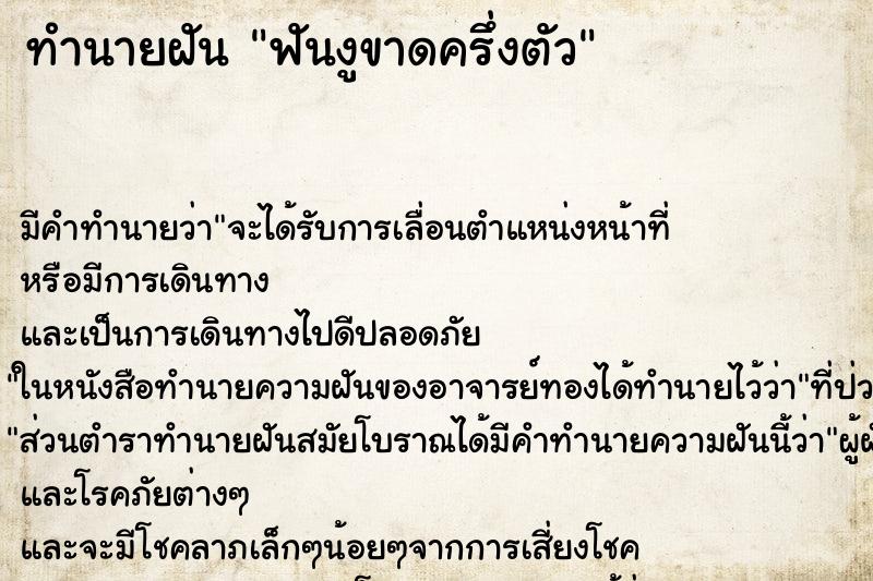 ทำนายฝัน ฟันงูขาดครึ่งตัว ทำนายฝัน ฟันงูขาดครึ่งตัว