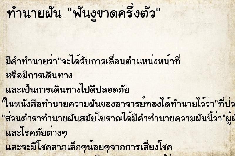 ทำนายฝัน ฟันงูขาดครึ่งตัว ตำราโบราณ แม่นที่สุดในโลก