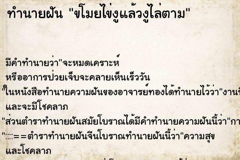 ทำนายฝันขโมยไข่งูแล้วงูไล่ตาม ทำนายฝันทำนายฝันขโมยไข่งูแล้วงูไล่ตาม