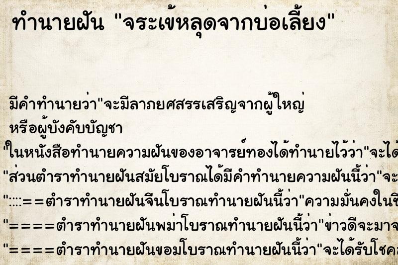 ทำนายฝัน จระเข้หลุดจากบ่อเลี้ยง