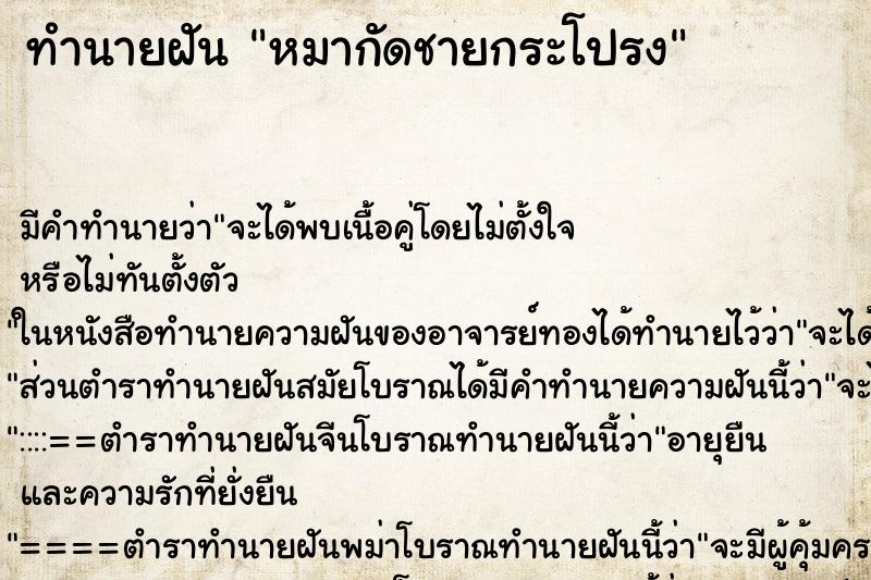 ทำนายฝัน หมากัดชายกระโปรง ทำนายฝัน หมากัดชายกระโปรง