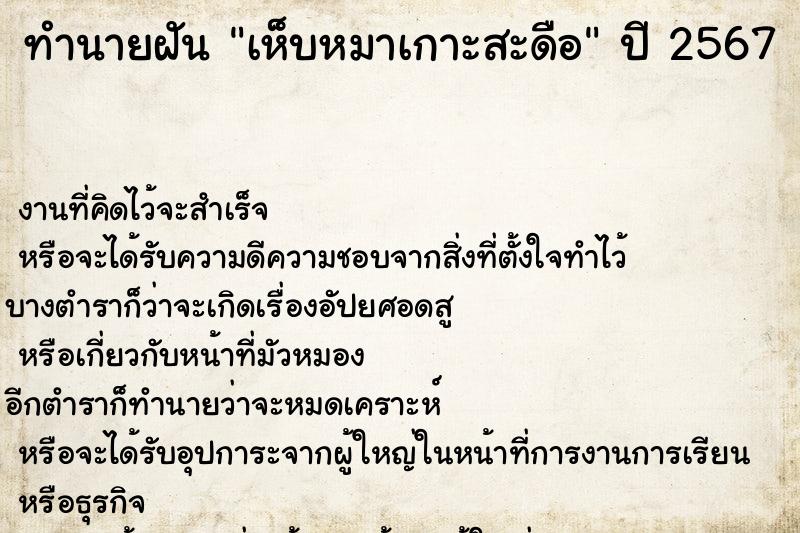 ทำนายฝันเห็บหมาเกาะสะดือ ทำนายฝันทำนายฝันเห็บหมาเกาะสะดือ