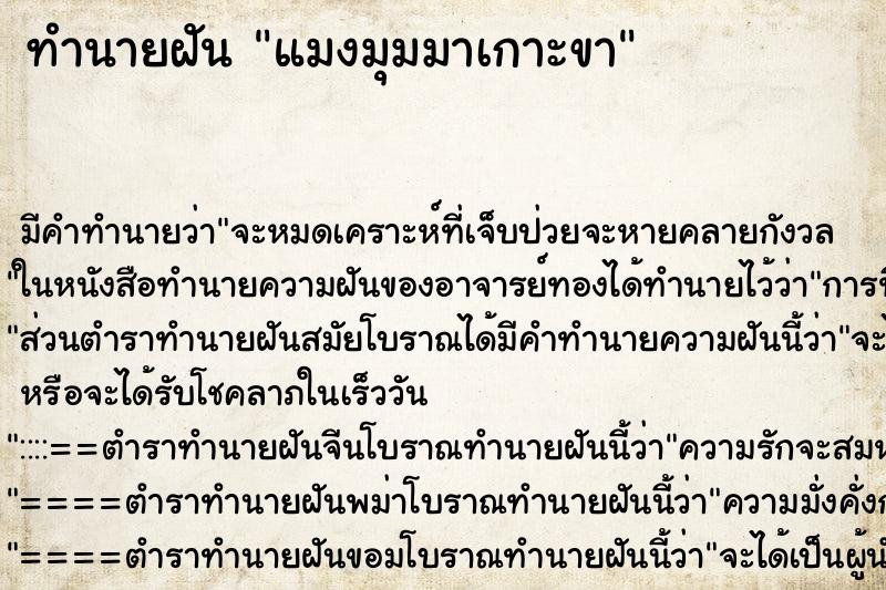 ทำนายฝันแมงมุมมาเกาะขา ทำนายฝันทำนายฝันแมงมุมมาเกาะขา