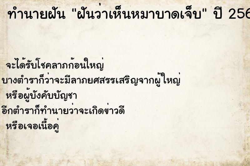 ทำนายฝันทำนายฝันฝันว่าเห็นหมาบาดเจ็บ