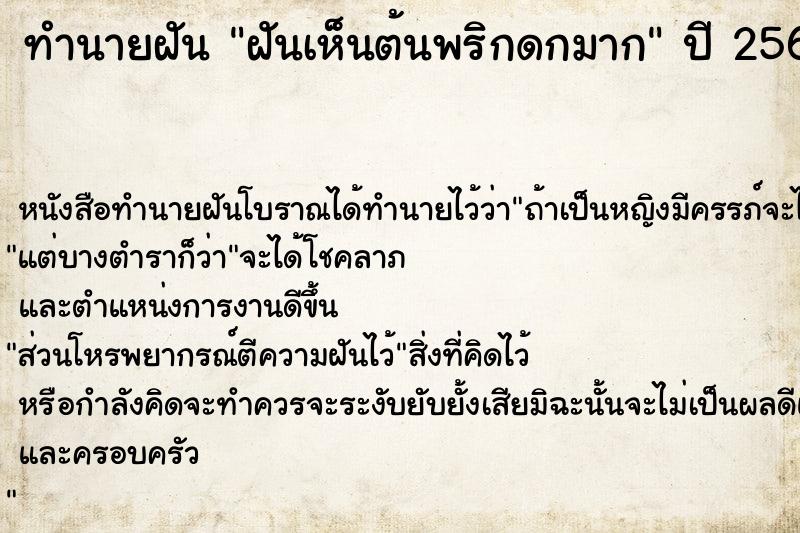 ทำนายฝันฝันเห็นต้นพริกดกมาก ทำนายฝันทำนายฝันฝันเห็นต้นพริกดกมาก