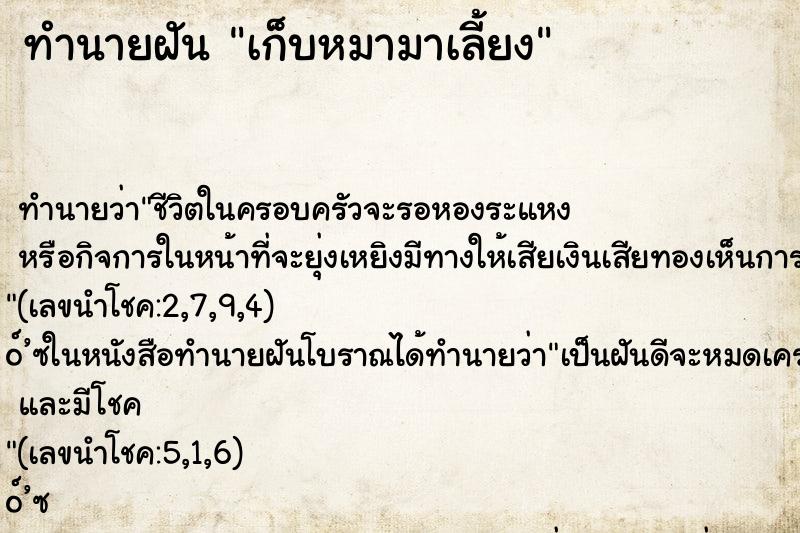 ทำนายฝัน เก็บหมามาเลี้ยง