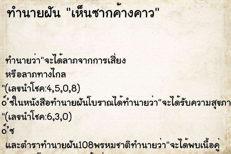ทำนายฝันทำนายฝันเห็นซากค้างคาว
