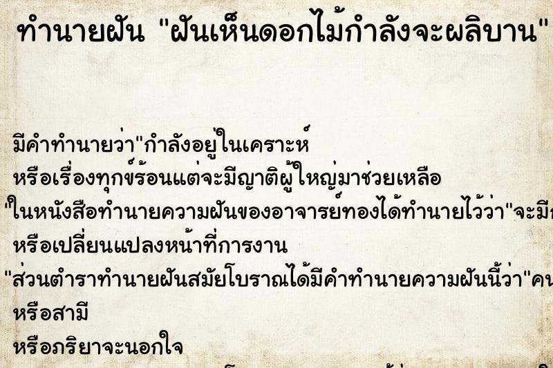 ทำนายฝันฝันเห็นดอกไม้กำลังจะผลิบาน ทำนายฝันทำนายฝันฝันเห็นดอกไม้กำลังจะผลิบาน
