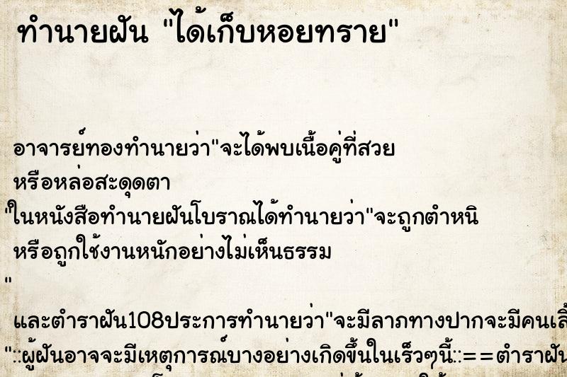 ทำนายฝัน ได้เก็บหอยทราย