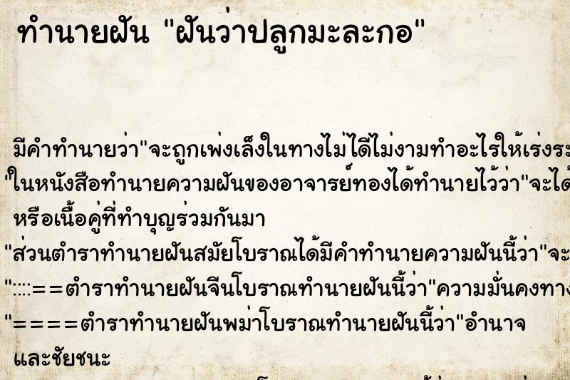 ทำนายฝัน ฝันว่าปลูกมะละกอ ทำนายฝัน ฝันว่าปลูกมะละกอ