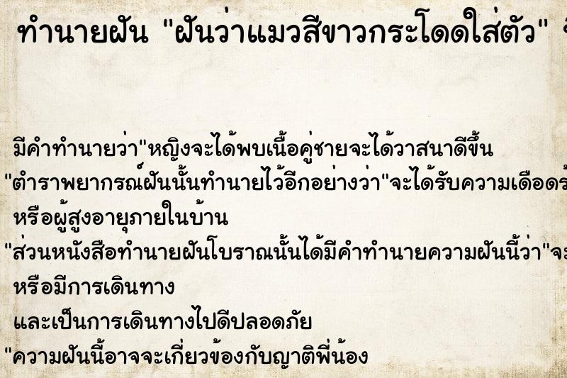 ทำนายฝัน ฝันว่าแมวสีขาวกระโดดใส่ตัว ทำนายฝัน ฝันว่าแมวสีขาวกระโดดใส่ตัว
