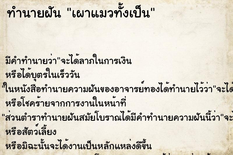 ทำนายฝัน เผาแมวทั้งเป็น