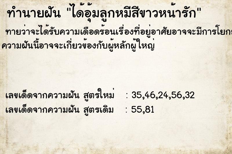 ทำนายฝันทำนายฝันได้อุ้มลูกหมีสีขาวหน้ารัก