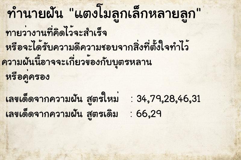 ทำนายฝัน แตงโมลูกเล็กหลายลูก ทำนายฝัน แตงโมลูกเล็กหลายลูก