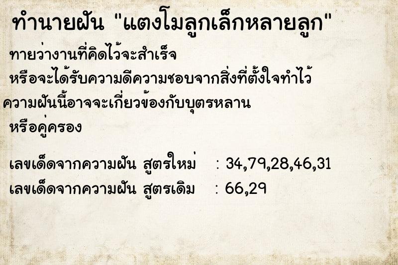 ทำนายฝัน แตงโมลูกเล็กหลายลูก ตำราโบราณ แม่นที่สุดในโลก