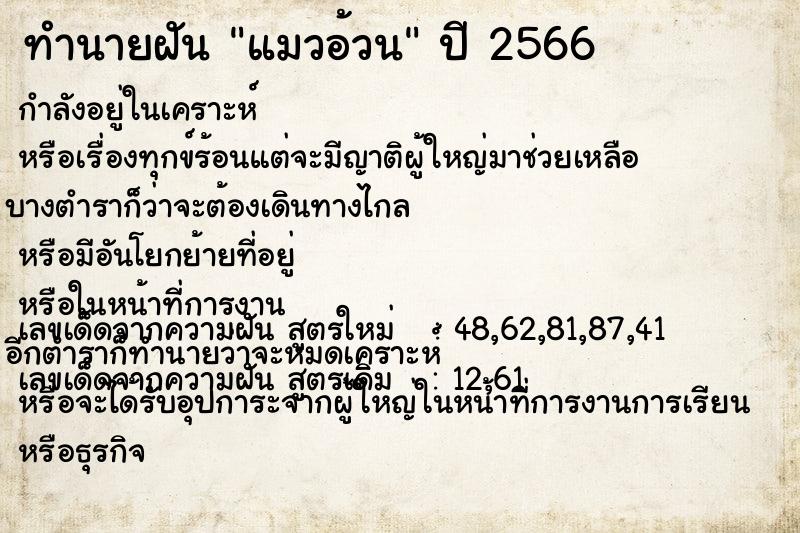 ทำนายฝัน แมวอ้วน ทำนายฝัน แมวอ้วน