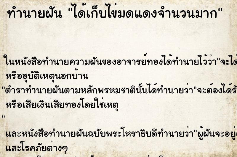 ทำนายฝัน ได้เก็บไข่มดแดงจำนวนมาก ตำราโบราณ แม่นที่สุดในโลก