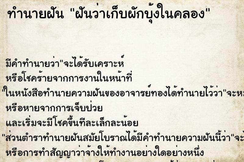 ทำนายฝัน ฝันว่าเก็บผักบุ้งในคลอง ทำนายฝัน ฝันว่าเก็บผักบุ้งในคลอง