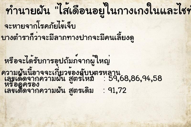 ทำนายฝัน ไส้เดือนอยู่ในกางเกงในและไชทั่วร่างกาย ทำนายฝัน ไส้เดือนอยู่ในกางเกงในและไชทั่วร่างกาย