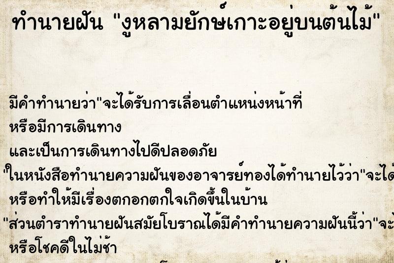 ทำนายฝัน งูหลามยักษ์เกาะอยู่บนต้นไม้ ทำนายฝัน งูหลามยักษ์เกาะอยู่บนต้นไม้