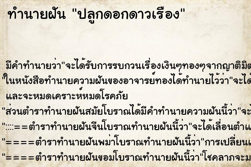 ทำนายฝัน ปลูกดอกดาวเรือง ทำนายฝัน ปลูกดอกดาวเรือง