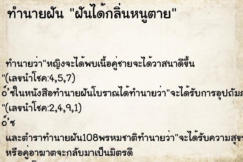 ทำนายฝันฝันได้กลิ่นหนูตาย ทำนายฝันทำนายฝันฝันได้กลิ่นหนูตาย