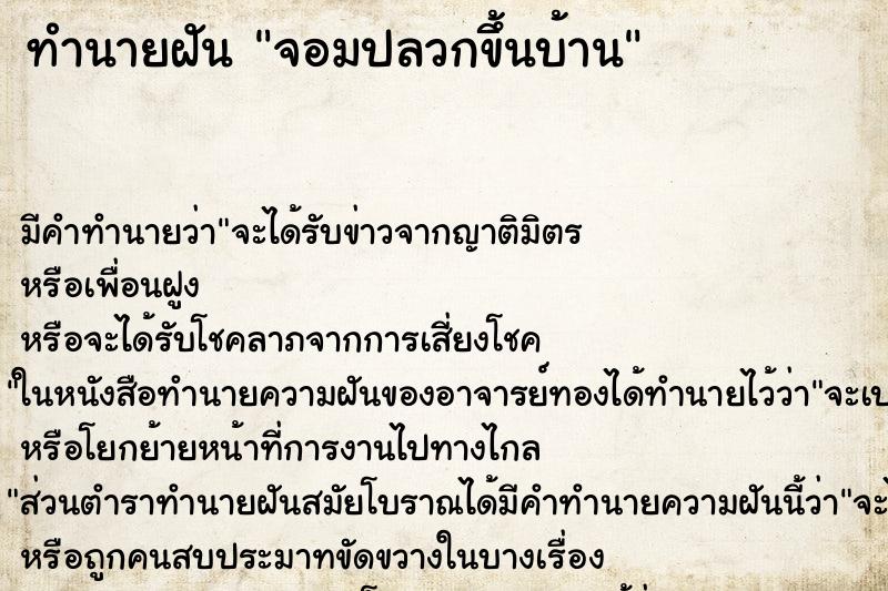 ทำนายฝันจอมปลวกขึ้นบ้าน ทำนายฝันทำนายฝันจอมปลวกขึ้นบ้าน