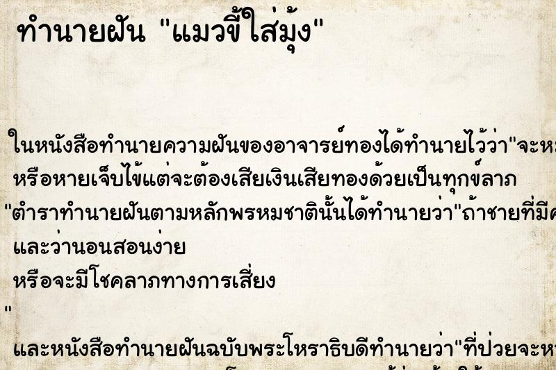 ทำนายฝันแมวขี้ใส่มุ้ง ทำนายฝันทำนายฝันแมวขี้ใส่มุ้ง
