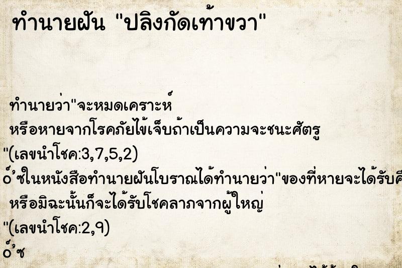 ทำนายฝัน ปลิงกัดเท้าขวา ทำนายฝัน ปลิงกัดเท้าขวา