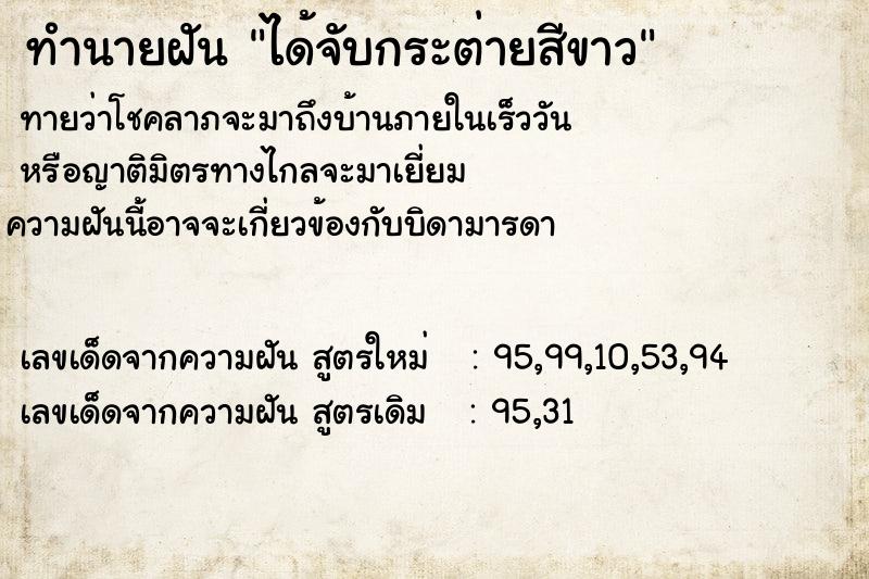 ทำนายฝัน ได้จับกระต่ายสีขาว ทำนายฝัน ได้จับกระต่ายสีขาว