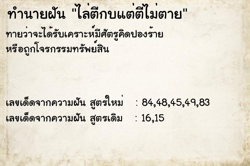ทำนายฝันทำนายฝันไล่ตีกบแต่ตีไม่ตาย