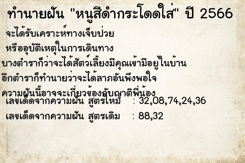 ทำนายฝัน หนูสีดำกระโดดใส่