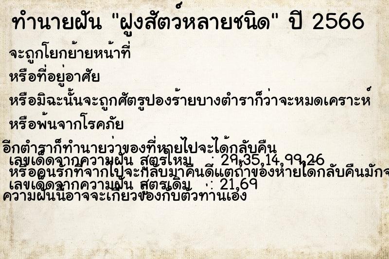 ทำนายฝัน ฝูงสัตว์หลายชนิด ทำนายฝัน ฝูงสัตว์หลายชนิด