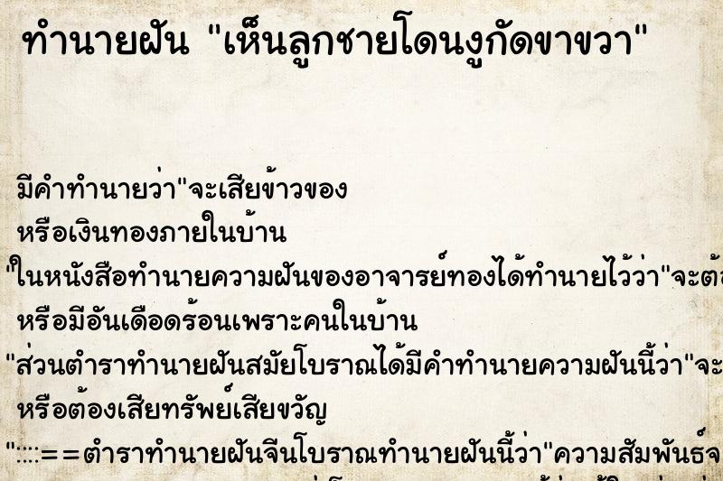 ทำนายฝัน เห็นลูกชายโดนงูกัดขาขวา ทำนายฝัน เห็นลูกชายโดนงูกัดขาขวา