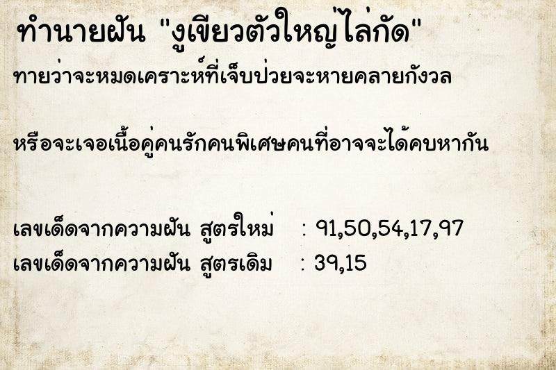 ทำนายฝัน งูเขียวตัวใหญ่ไล่กัด ตำราโบราณ แม่นที่สุดในโลก