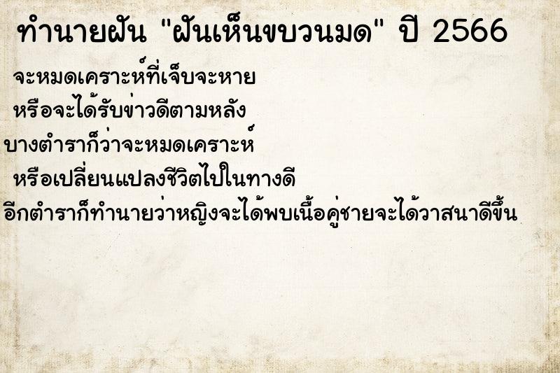 ทำนายฝันฝันเห็นขบวนมด ทำนายฝันทำนายฝันฝันเห็นขบวนมด