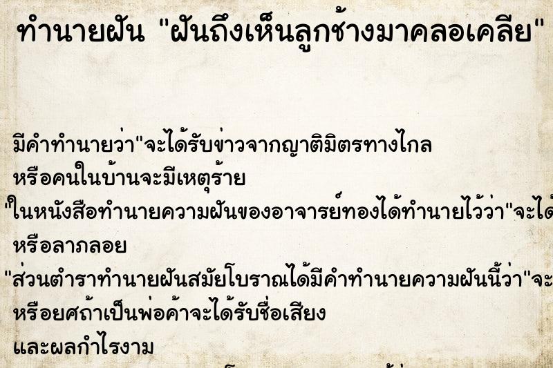 ทำนายฝันทำนายฝันฝันถึงเห็นลูกช้างมาคลอเคลีย