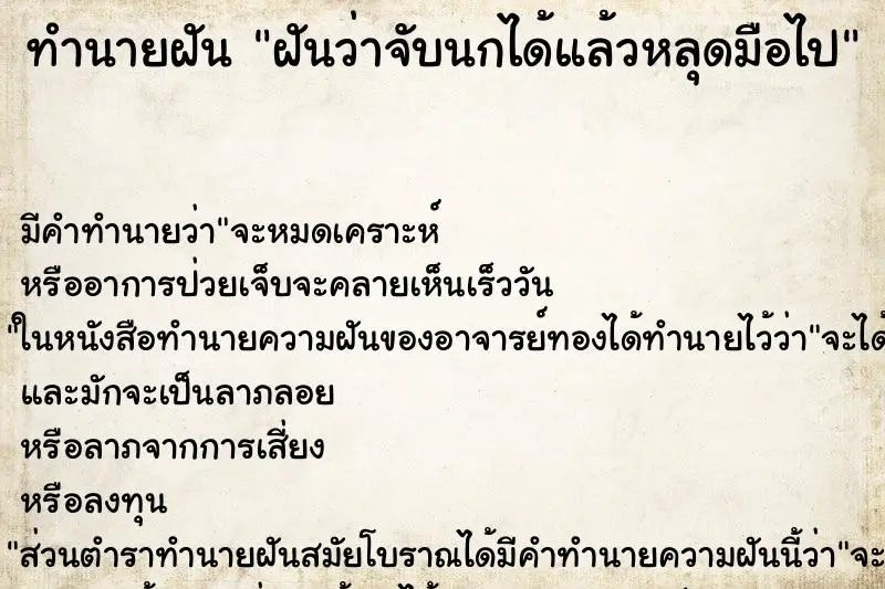 ทำนายฝัน ฝันว่าจับนกได้แล้วหลุดมือไป