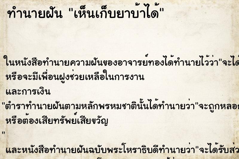 ทำนายฝันเห็นเก็บยาบ้าได้ ทำนายฝันทำนายฝันเห็นเก็บยาบ้าได้