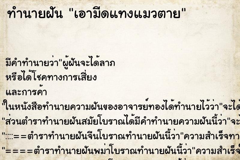 ทำนายฝันเอามีดแทงแมวตาย ทำนายฝันทำนายฝันเอามีดแทงแมวตาย
