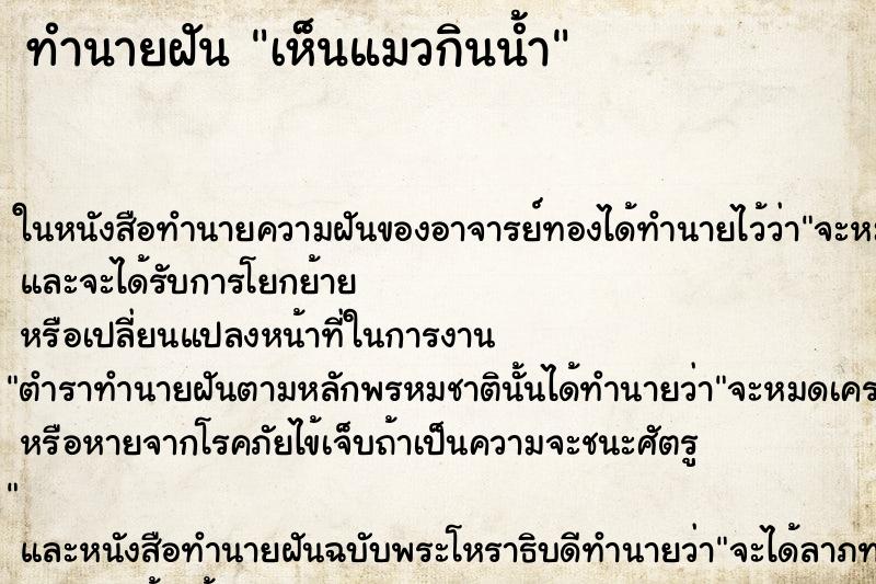 ทำนายฝัน เห็นแมวกินน้ำ