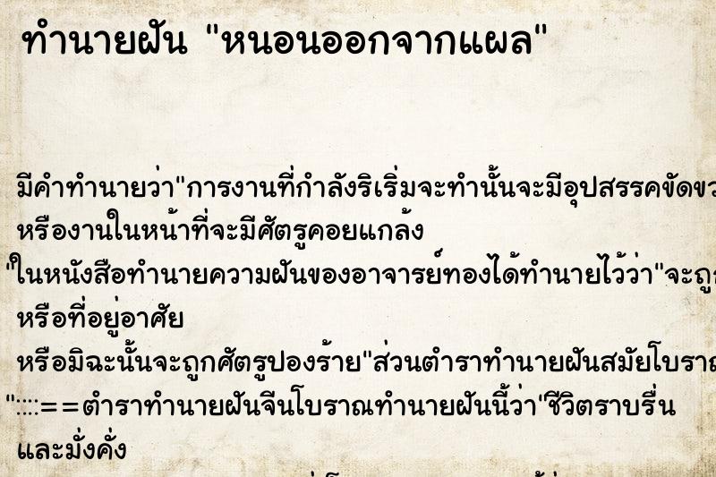 ทำนายฝัน หนอนออกจากแผล ทำนายฝัน หนอนออกจากแผล