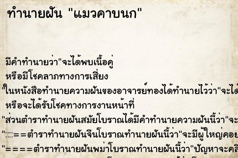 ทำนายฝันแมวคาบนก ทำนายฝันทำนายฝันแมวคาบนก