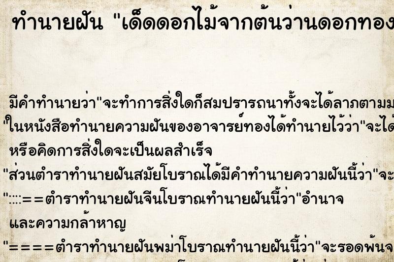 ทำนายฝัน เด็ดดอกไม้จากต้นว่านดอกทอง ทำนายฝัน เด็ดดอกไม้จากต้นว่านดอกทอง